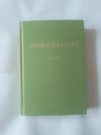 2020新发现诗人作品选