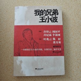 我的兄弟王小波