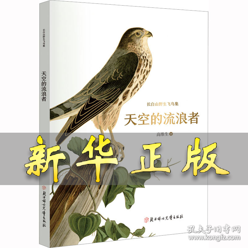 天空的流浪者 高维生 9787558570346 北方妇女儿童出版社