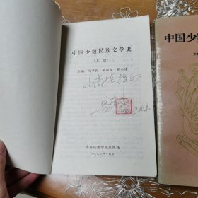 中国少数民族文学史 上下册