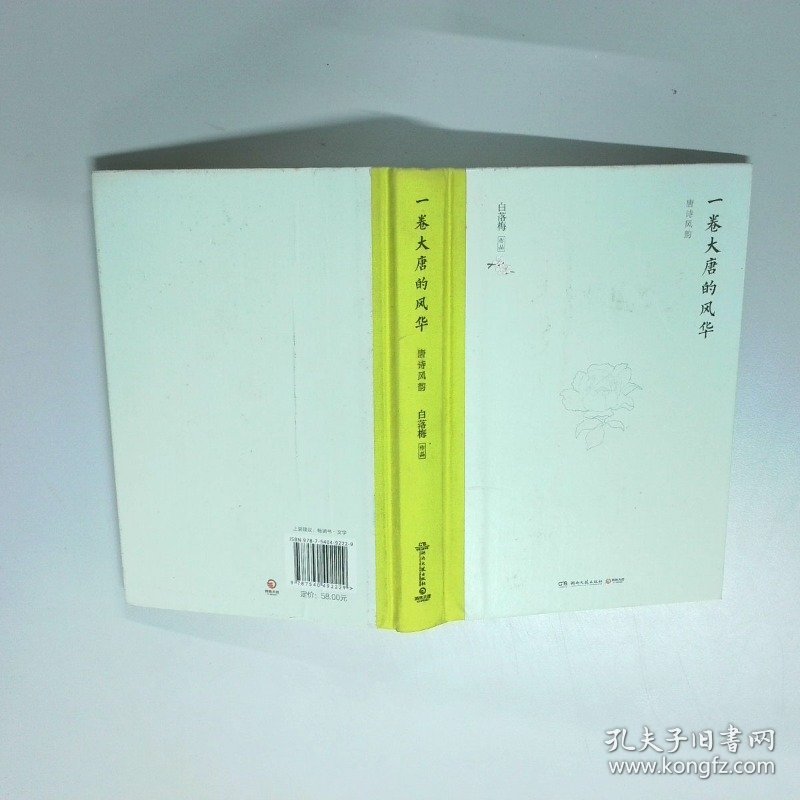 一卷大唐的风华精装版