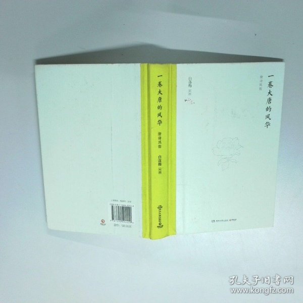 一卷大唐的风华精装版