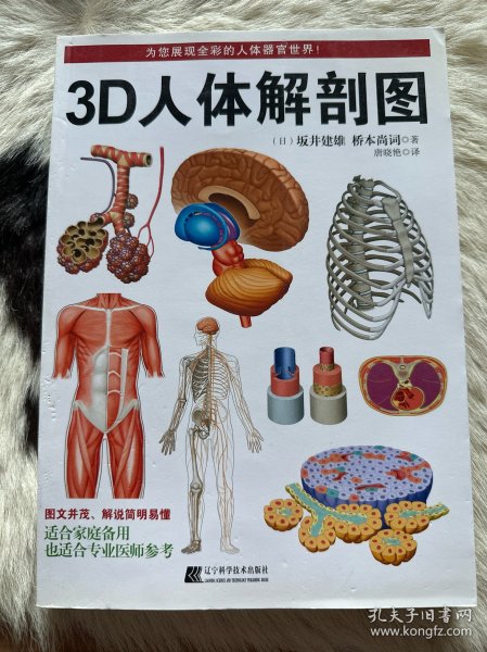 3D人体解剖图