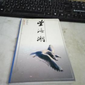 望海潮（签赠本）