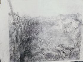 周春芽素描作品