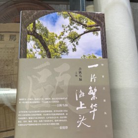 纯粹·一片繁华海上头