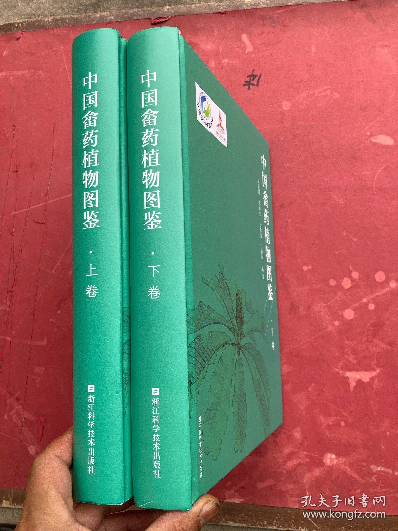中国畲药植物图鉴（上下卷 全套）【两厚册合售】精装大开本 全新 确保正版现货"