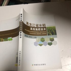 黑龙江省水稻高效施肥技术