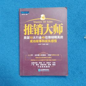 推销大师：美国10大行业45位推销精英的成功故事和成长感悟