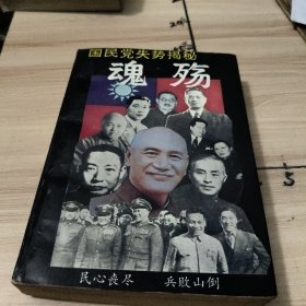 魂殇 国民党失势揭秘