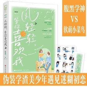 风轻轻，等你喜欢我