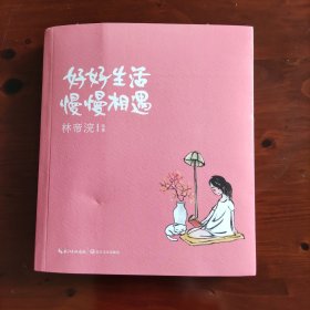 小林漫画：好好生活，慢慢相遇