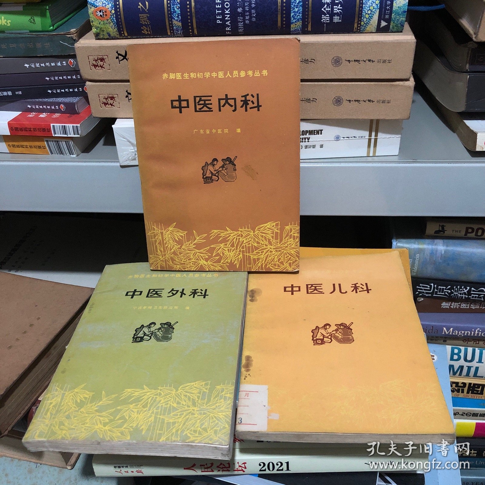 赤脚医生和初学中医人员参考丛书 中医内科 中医外科 中医儿科 3本合集