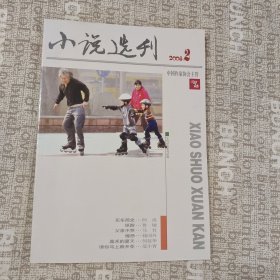 小说选刊