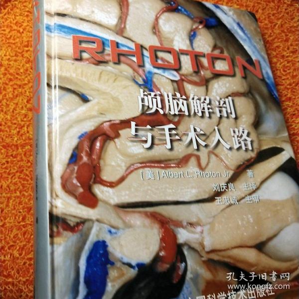 RHOTON?颅脑解剖与手术入路