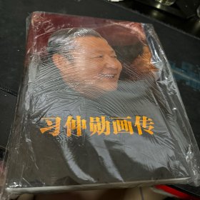 习仲勋画传