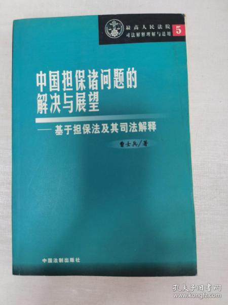 最高人民法院司法解释理解与适用5，中国担保诸问题的解决与展望