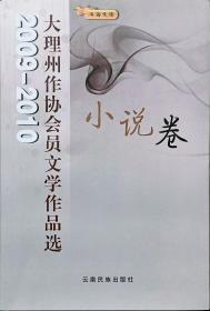 2009-1010大理州作协会员文学作品选小说选