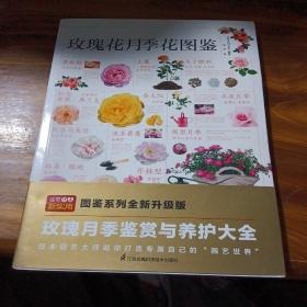 玫瑰花月季花图鉴