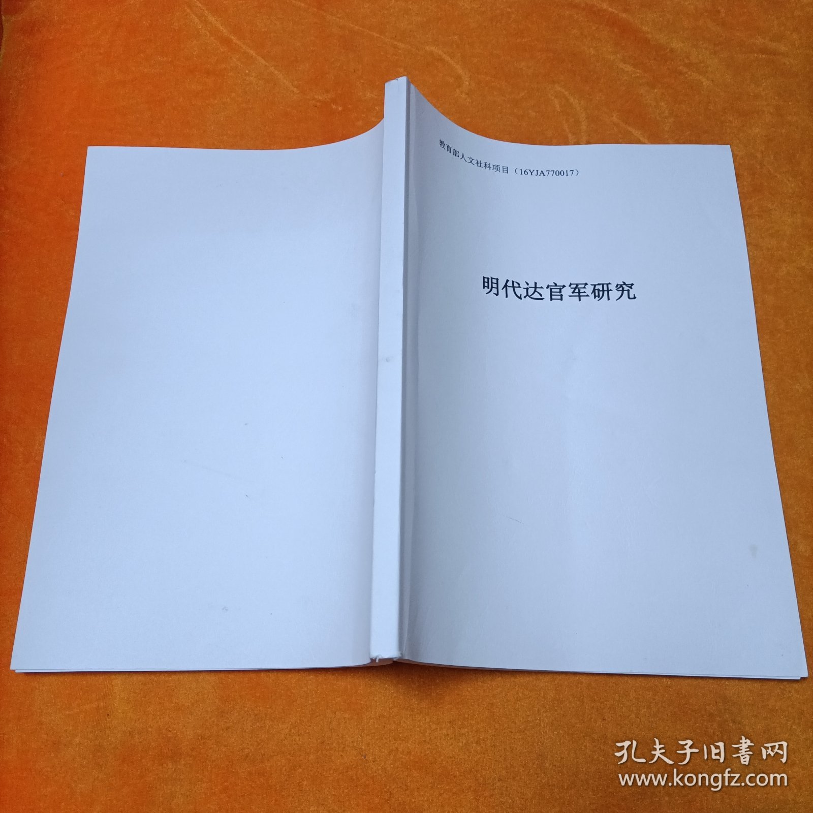 明代达官军研究