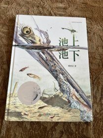 首届丰子恺优秀儿童图画书奖绘本：池上池下（随书附赠蜻蜓观察笔记）