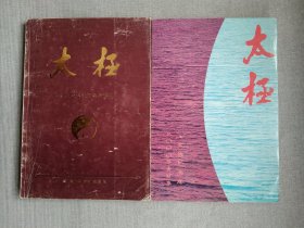 太极 杂志合订本 1998/2000