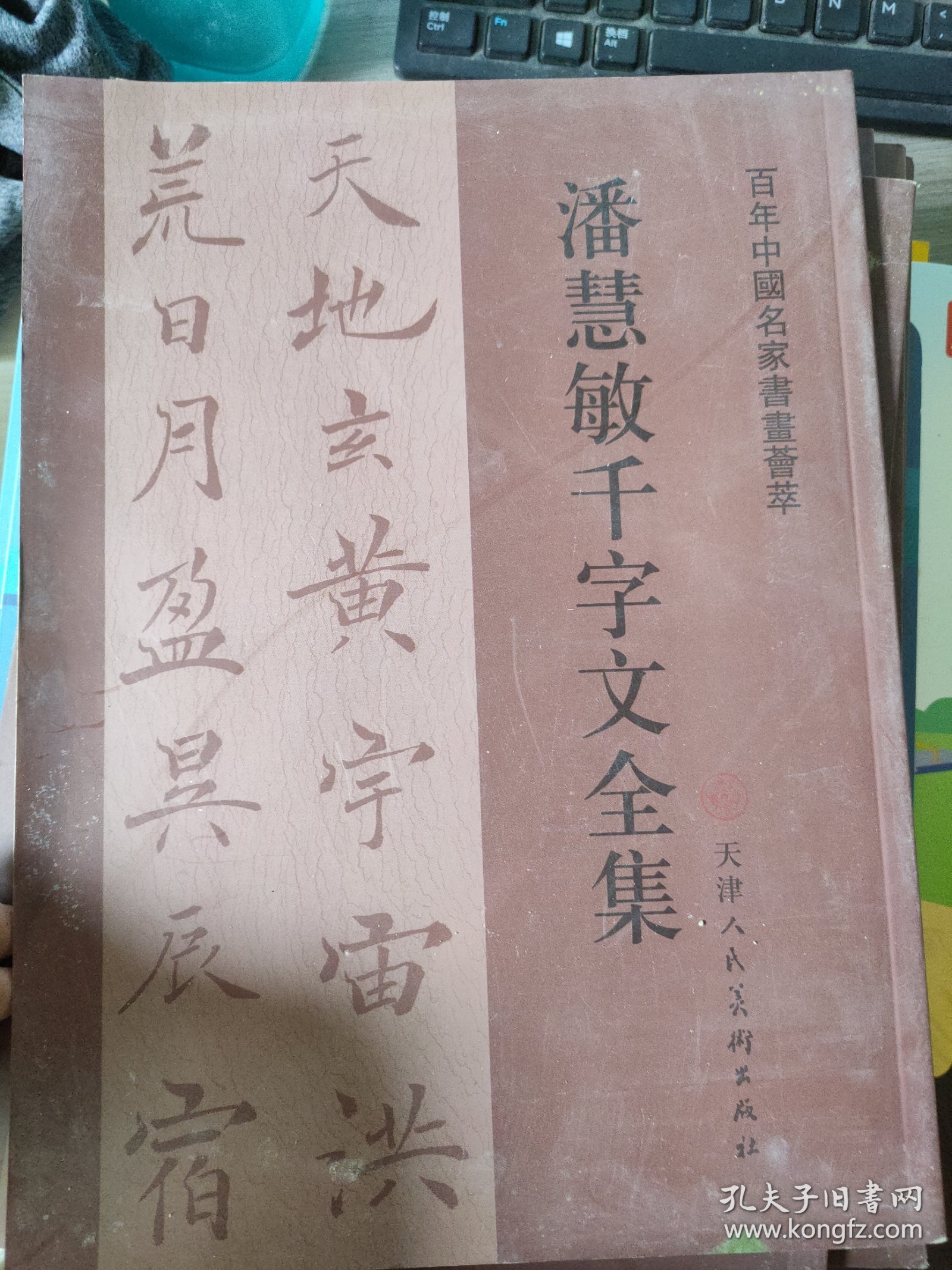 百年中国名家书画荟萃潘慧敏千字文全集