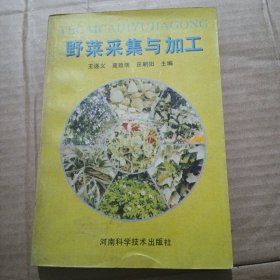 野菜采集与加工