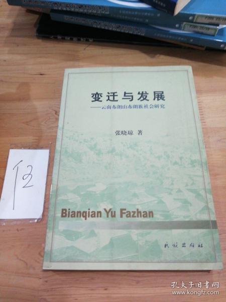 变迁与发展：云南布朗山布朗族社会研究