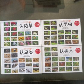 童眼看世界升级版(全四册)认鸟类、认树木、认昆虫、认花草