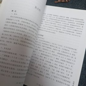 芜湖县名镇名村 芜湖县文史资料第九辑