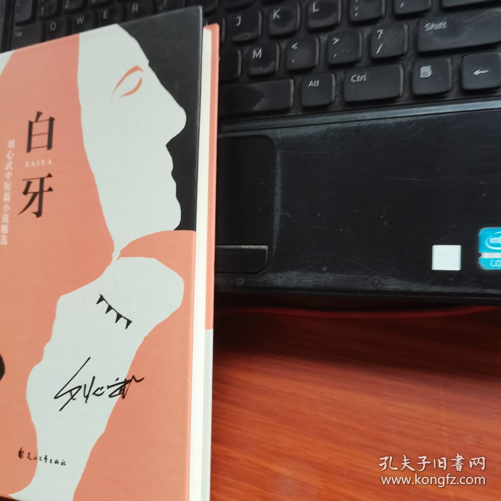 白牙：刘心武中短篇小说精选