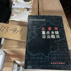 北京市重点乡镇企业概况