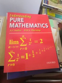 Understanding Pure Mathematics