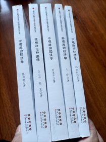 21世纪马克恩主义政治经济学研究丛书
宇观政治经济学，中观政治经济学，渺观经济学，微观政治经济学，宏观政治经济学