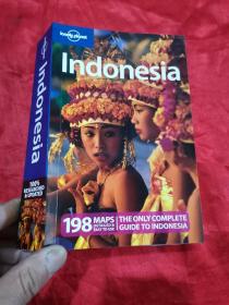 Lonely Planet: Indonesia孤独星球旅行指南：印度尼西亚
