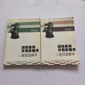 国际象棋开局武器库上下册 局面型棋手 进攻型棋手