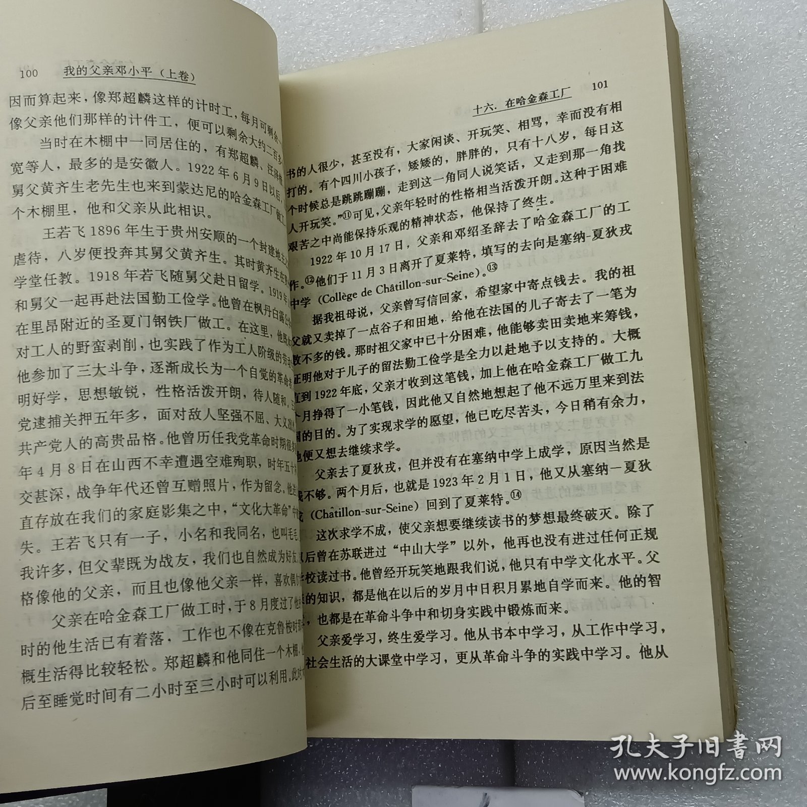 我的父亲邓小平上卷