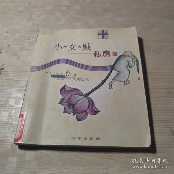 小女贼私房画