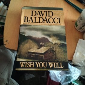 Wish You Well