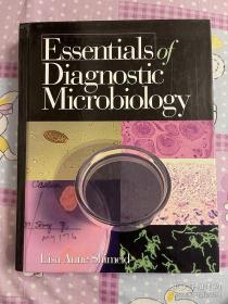 Essentials of diagnostic microbiology 鉴定微生物学大学英文原版教材研究生本科生