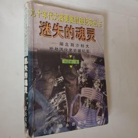 迷失的魂灵--湖北荆沙特大抢劫团伙案侦破纪实