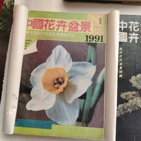 中国花卉盆景期刊 1991年1~12期 1992年1~12期 1993年1~12期 1994年1~6期