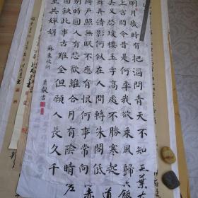 萧毅书法  苏东坡词（全省参展入选作品）A054