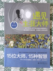 遇见生涯大师 15位大师 15种智慧 吴沙 作品