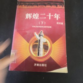 辉煌二十年.农村篇 下