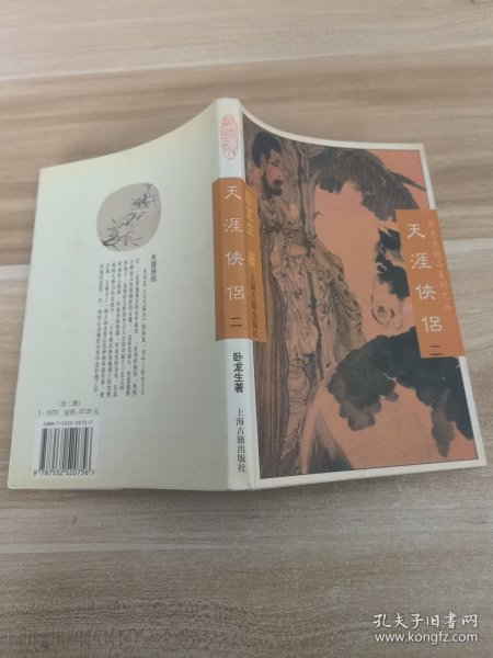 天涯侠侣（二）