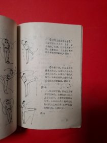 少林金鸡十三腿十路弹腿