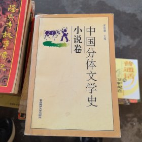 中国分体文学史.小说卷