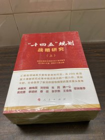 “十四五”规划战略研究（上、中、下册）